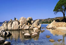 赛场上的风云人物：一路向前，永不言败的简单介绍