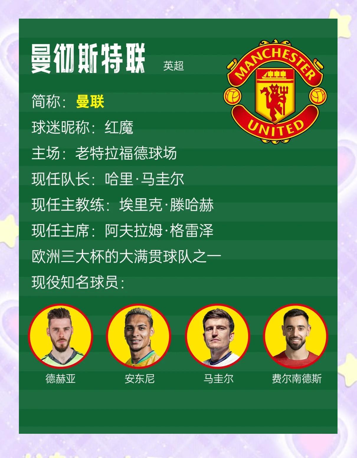 关于欧洲一流强队角逐国际足球锦标的信息